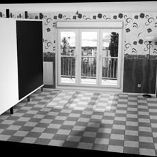 REMY2014_SHADOW